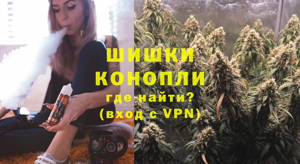 бошки Алексин