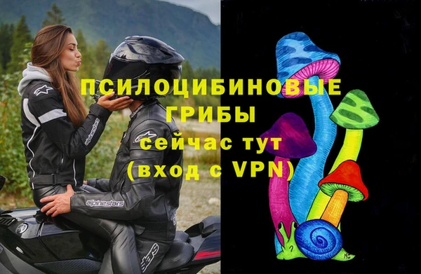 бошки Алексин