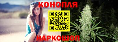 ешки Гатчина