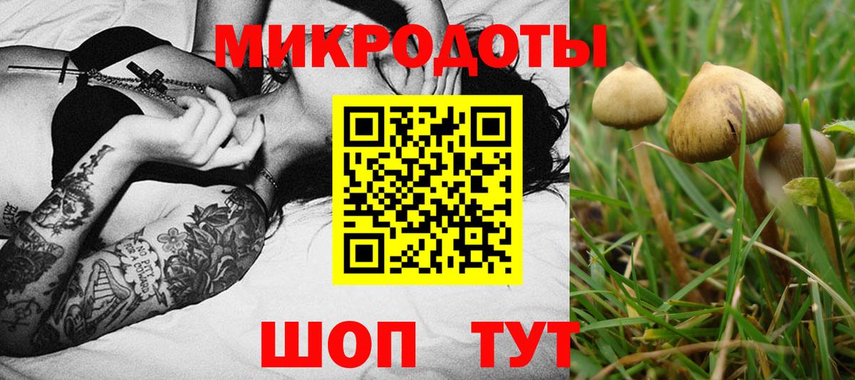 Галлюциногенные грибы мицелий Кемерово
