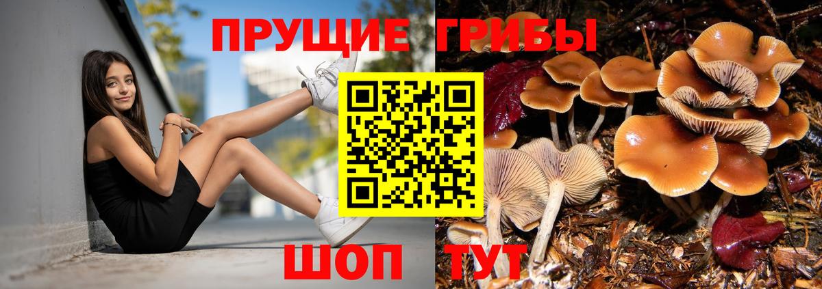 Кемерово  купить   Вход с VPN  Галлюциногенные грибы мицелий  Псилоцибиновые грибы Cubensis 