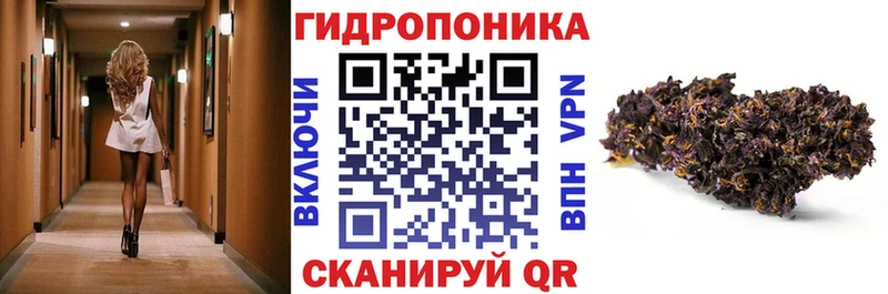 купить закладку Кемерово кракен как зайти Бошки Шишки сатива