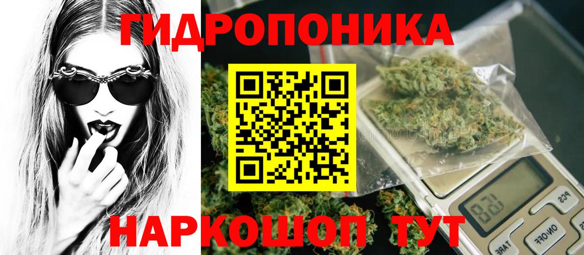 Конопля план Кемерово
